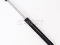 Volkswagen Bora 1998-2005 LUUGI/KAPOTI AMORT LUUGI/KAPOTI AMORT mudelile VW BORA (1J5/1JM) M...