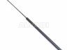Hyundai Accent 2000-2005 LUUGI/KAPOTI AMORT LUUGI/KAPOTI AMORT mudelile HYUNDAI ACCENT (LC)...