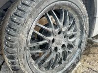 BMW 5 (E60 / E61) 2005 - Auto varuosadeks